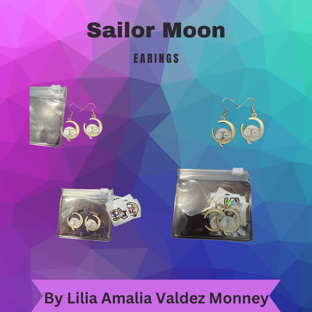 Blind bag Keychain and Sailor moon Earrings with Mini Stickers